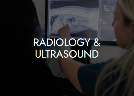 Radiology & Ultrasound