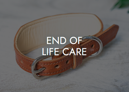 End Of Life Care