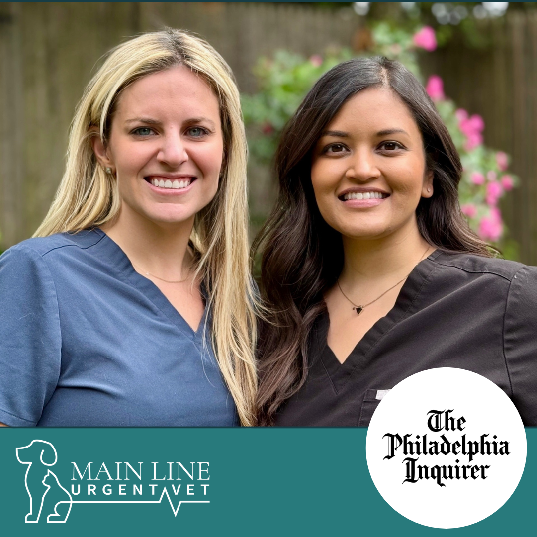 How These Local Entrepreneurs Beat The Odds When Starting a Business
