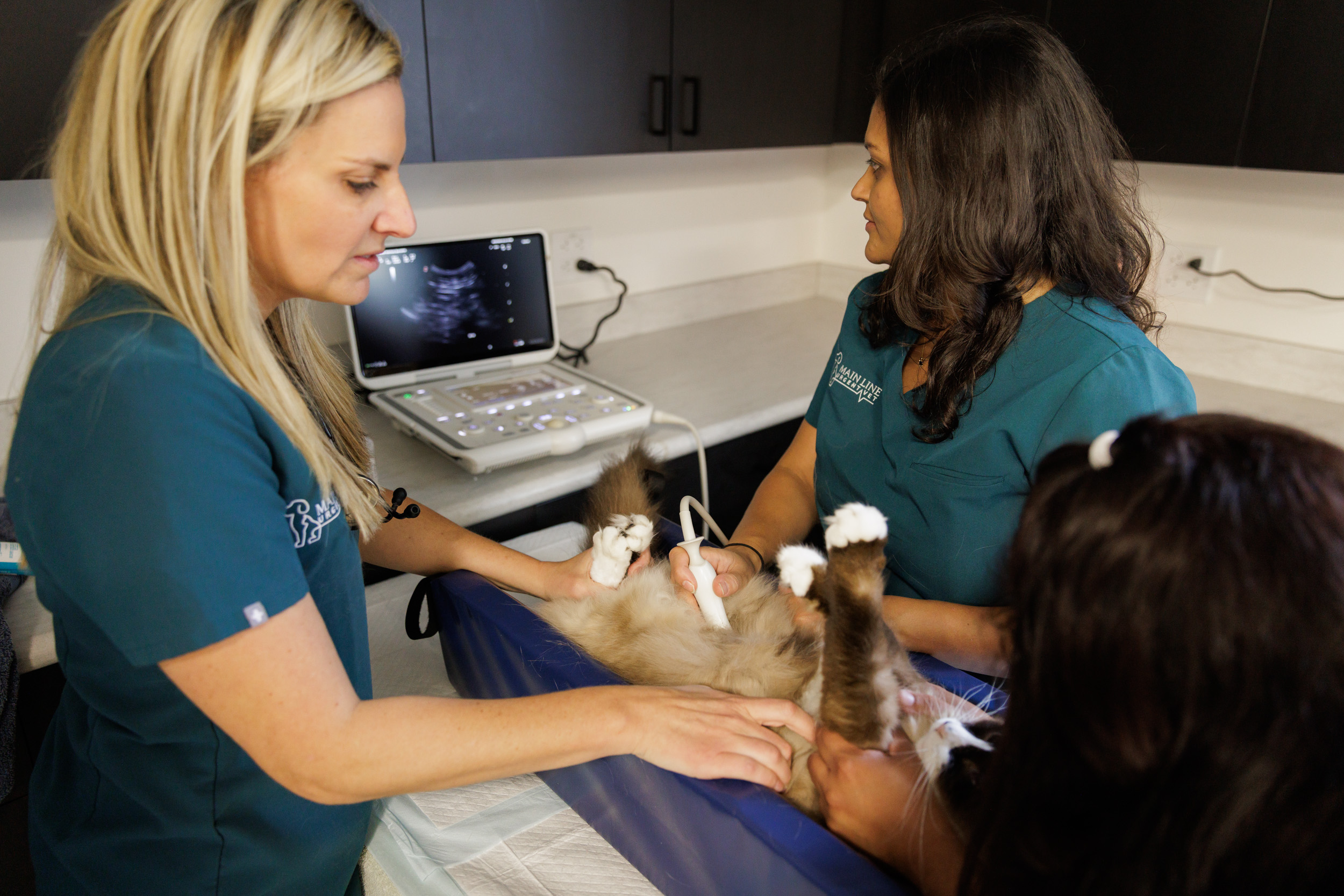 Doctors doing an ultrasound