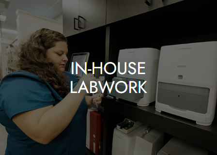 In-House Labwork